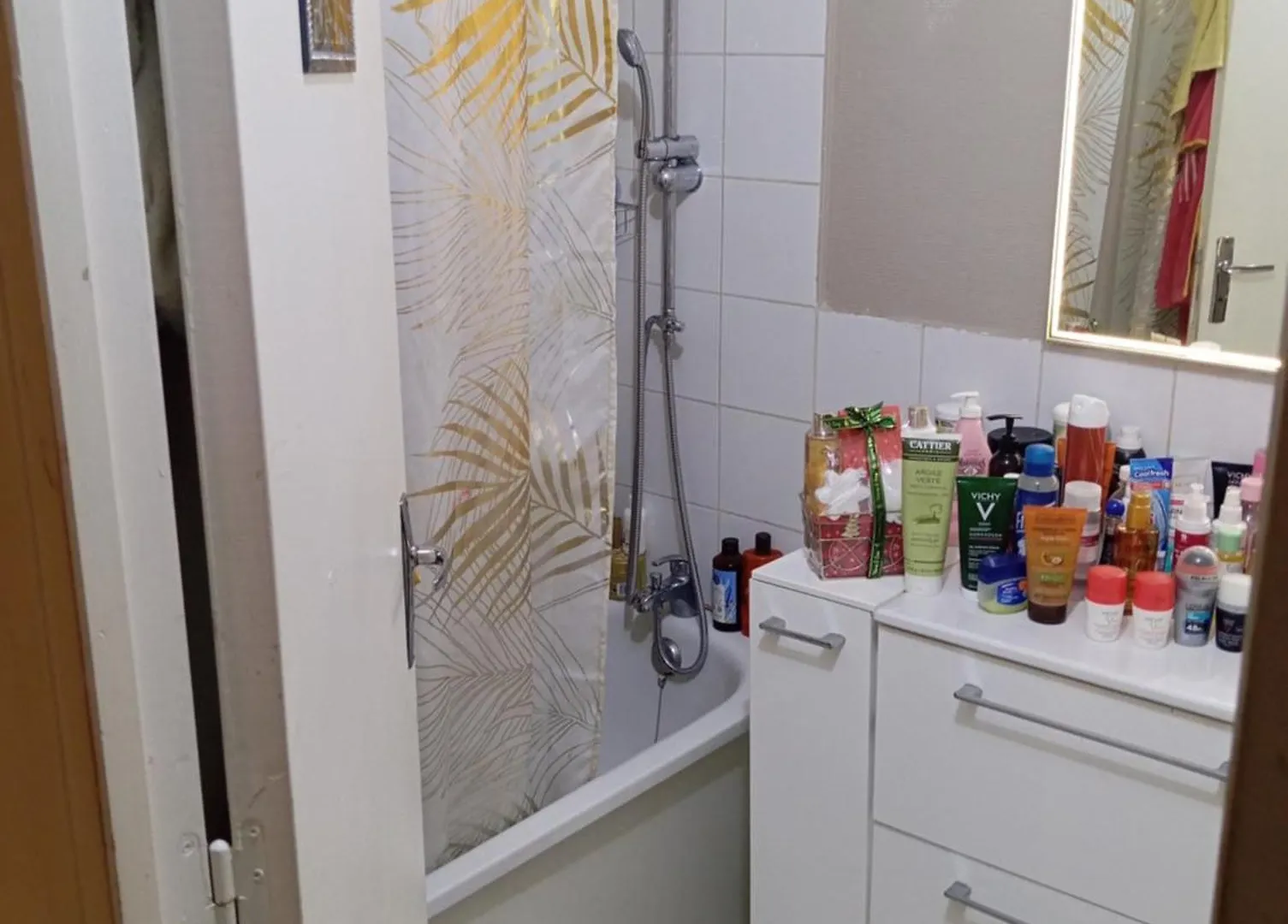 Grand Appartement Paris 11Eme France